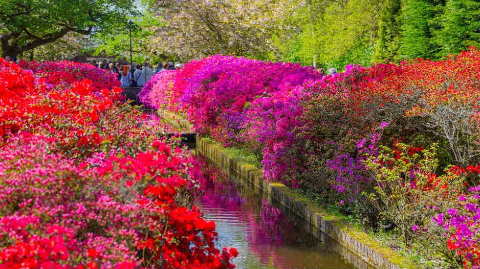 Keukenhof Gardens